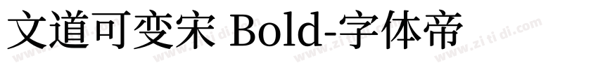 文道可变宋 Bold字体转换
